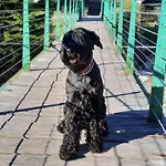 - Kekec * Mojstrana