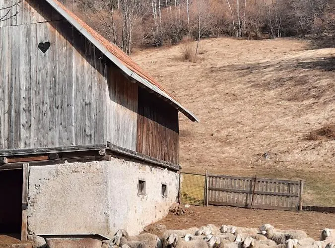 - Kekec * מויסטראנה